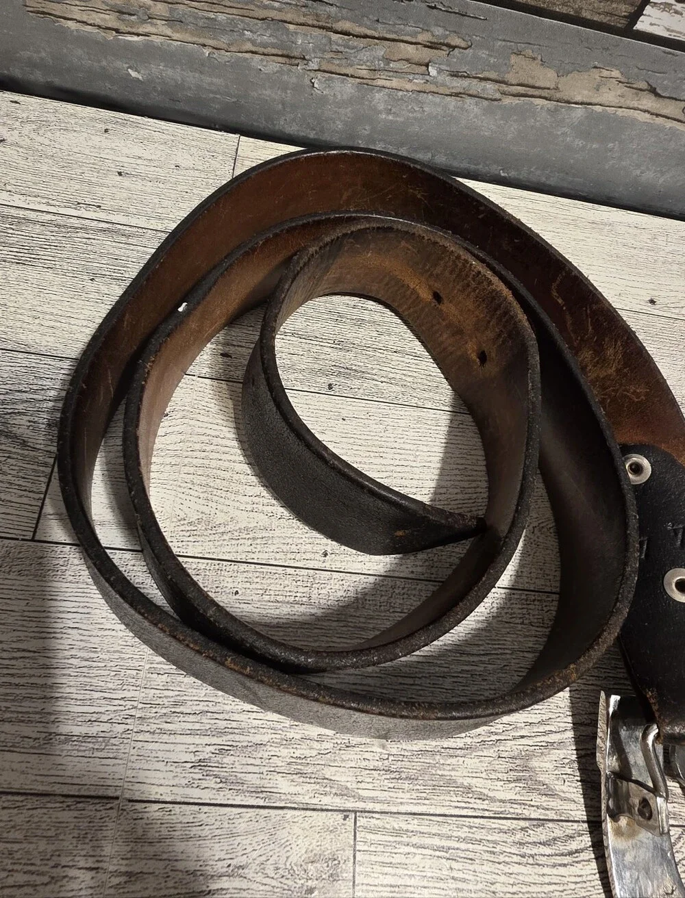 Western Horse Head Horseshoe Belt Buckle - Silver Tone